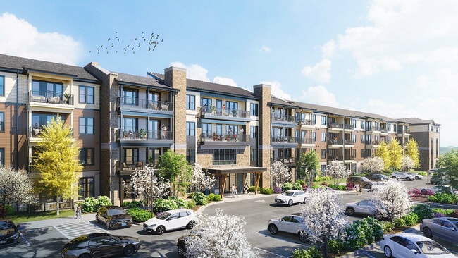 Chorus at Asheville exterior and parking - Chorus Asheville 55+ Active Adult Apartment Homes