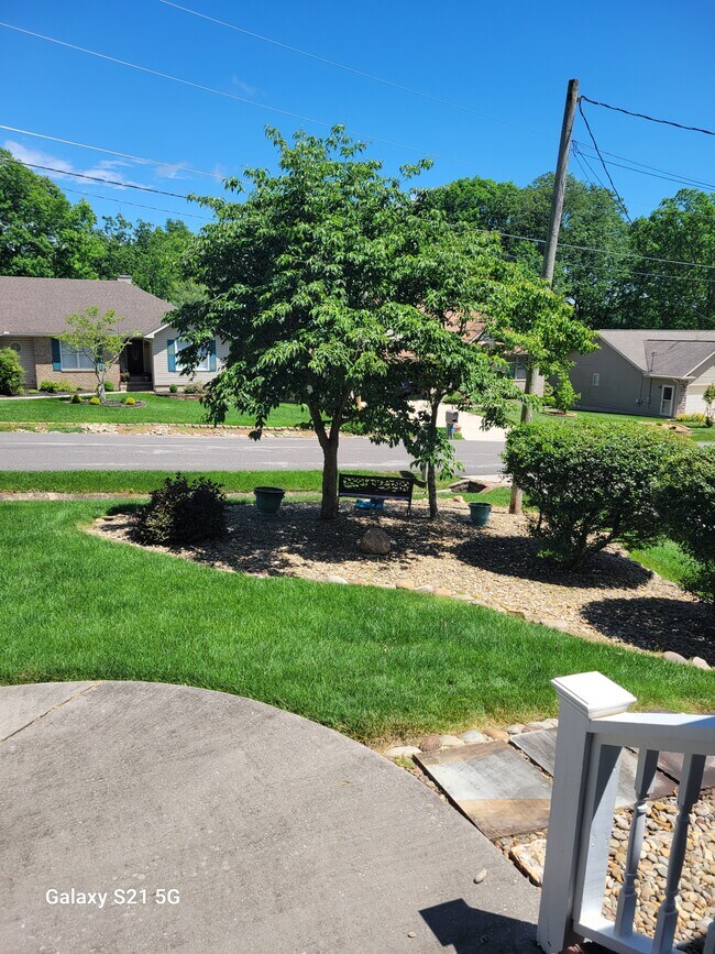 Foto del edificio - 223 Amherst Ln