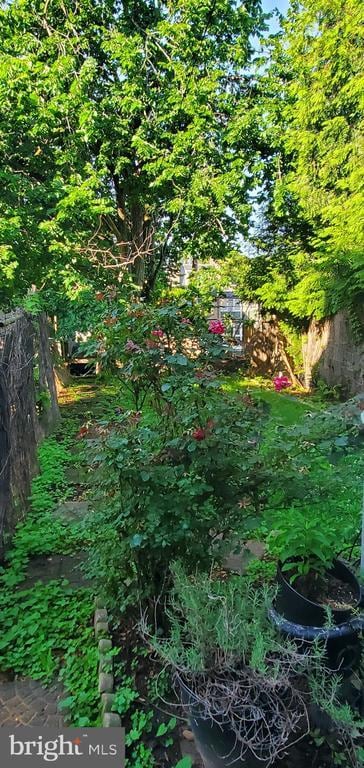 Primary Photo - 1153 Neal St NE