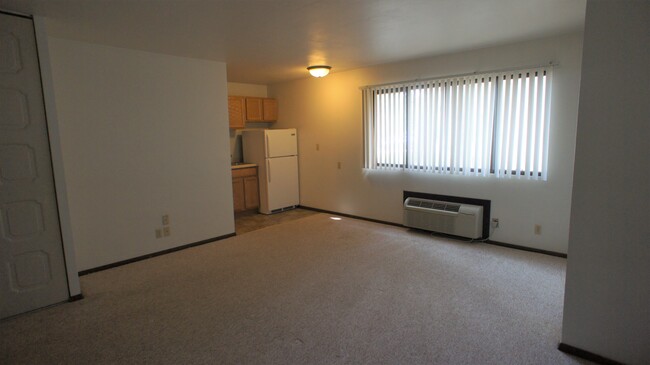 Apt 110 - Parkview Apartments