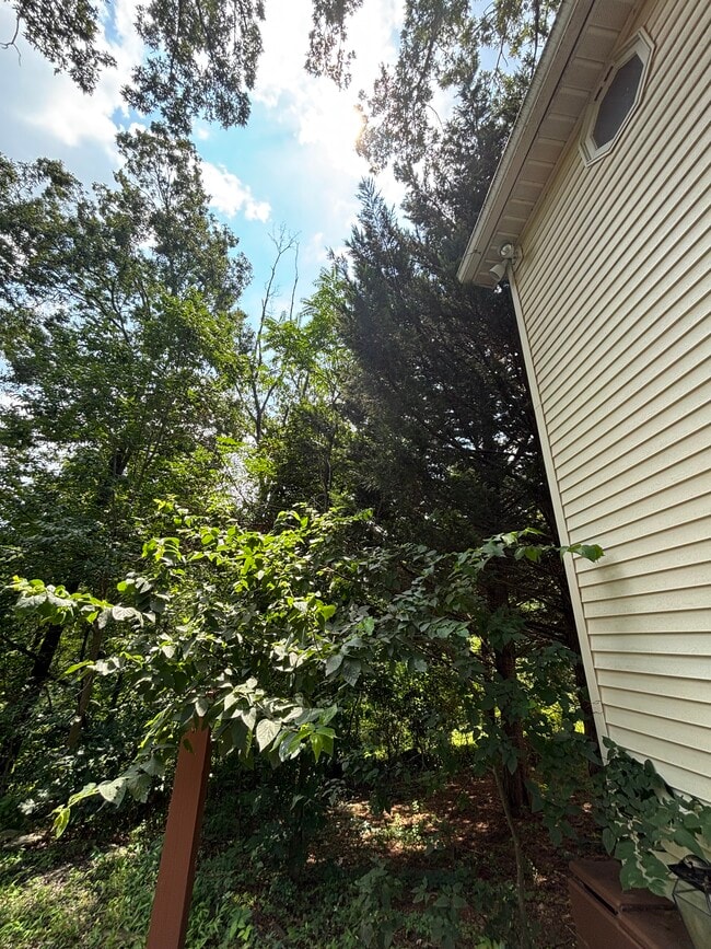 Building Photo - 3379 Mill Creek Rd