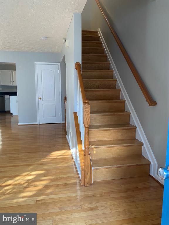 Foto principal - 3282 Halcyon Ct