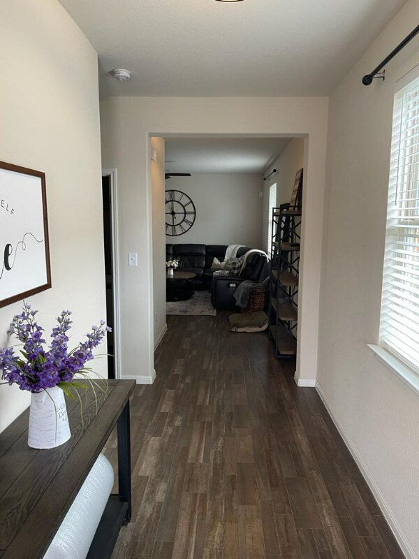 160 Earl Keen St, Leander, TX 78641 House Rental in Leander, TX