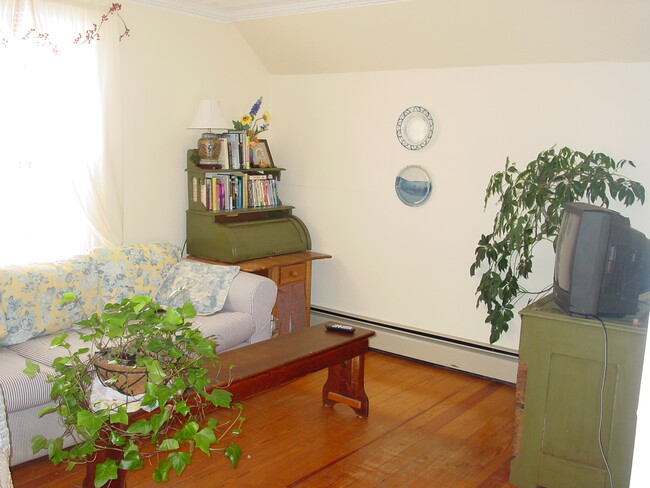 Living room - 115 Island St