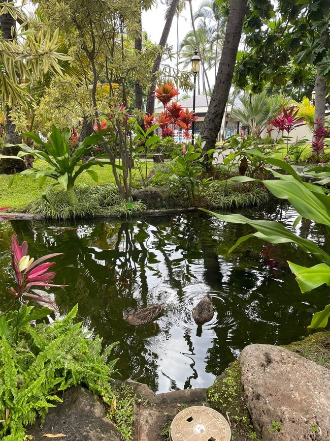 Photo - 300 Wai Nani Way Apartment