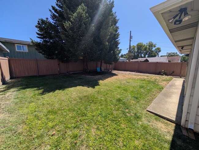 Foto del edificio - 3 Bedroom Normal Hill House - dog-friendly!