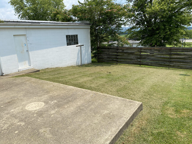 Backyard - 1558 2nd St