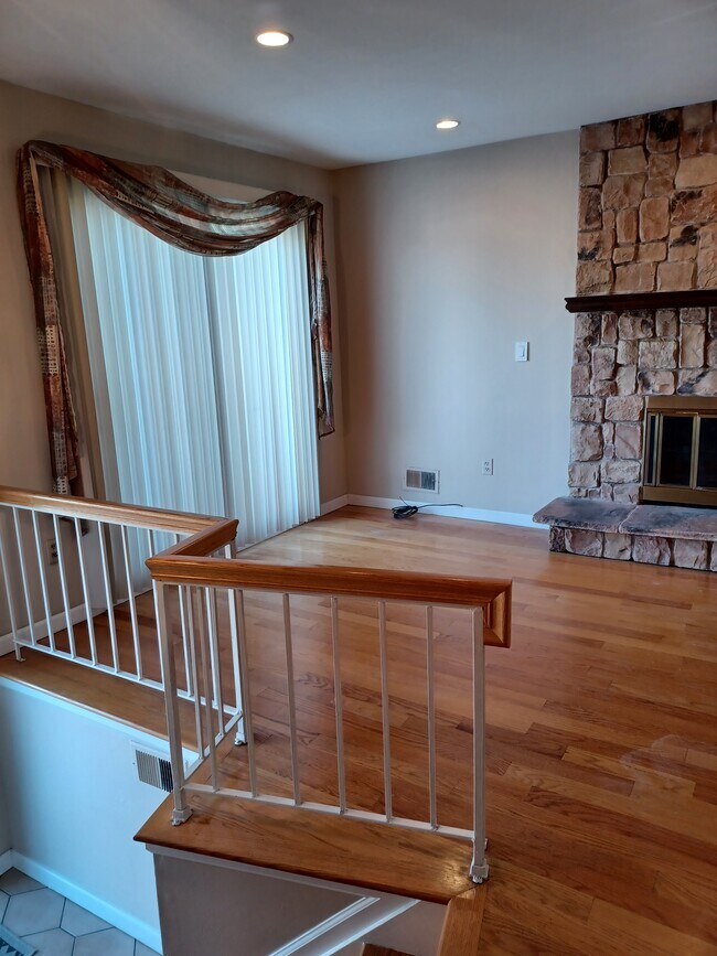 left side fire place living area - 254 Monahan Ave