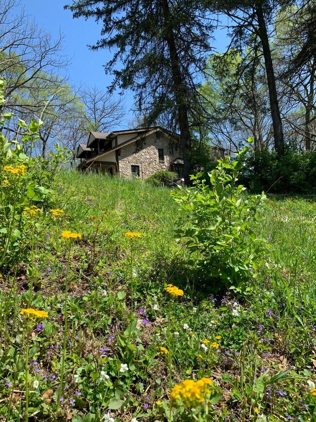 Building Photo - 7049 Riverside Dr