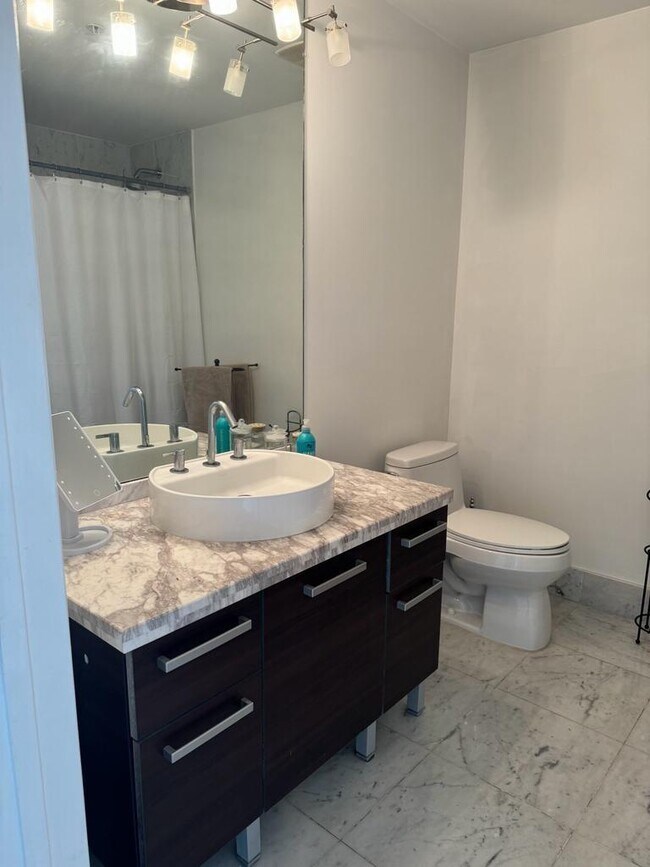 244 Biscayne Blvd Unit 3807, Miami, FL 33132 Condo for Rent in Miami