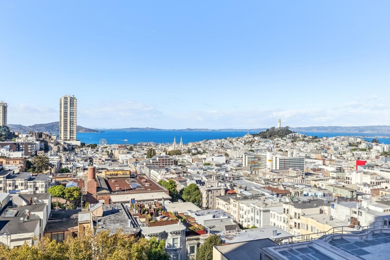 Primary Photo - 1150 Sacramento St