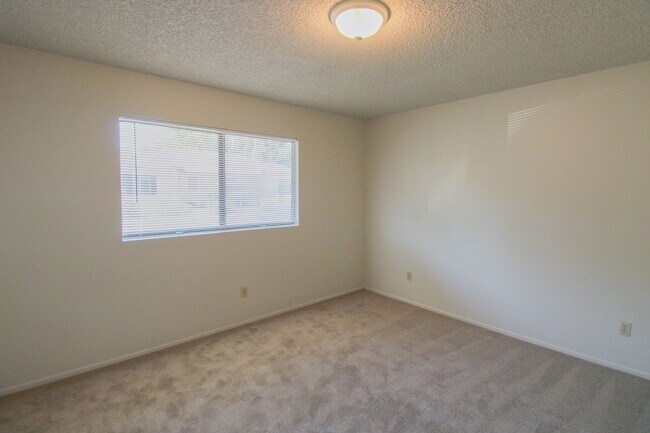 Foto del edificio - Updated, 2 bedroom, 1 bath apartment tucke...