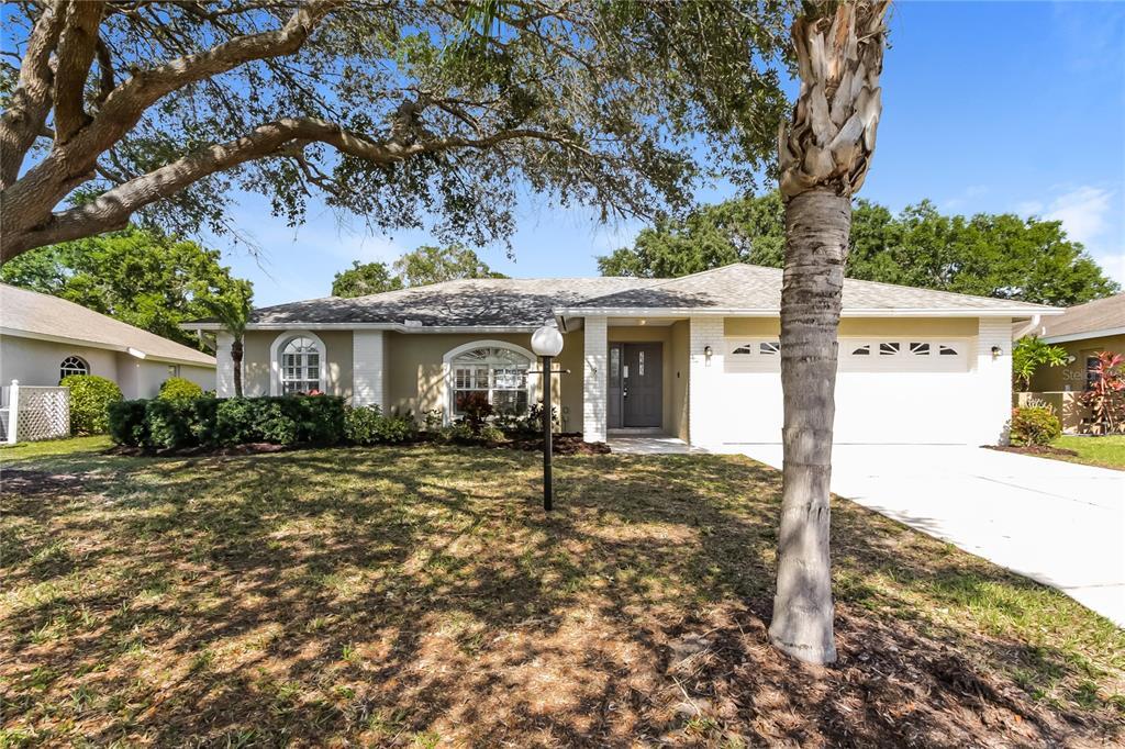 Primary Photo - 2333 Appaloosa Cir