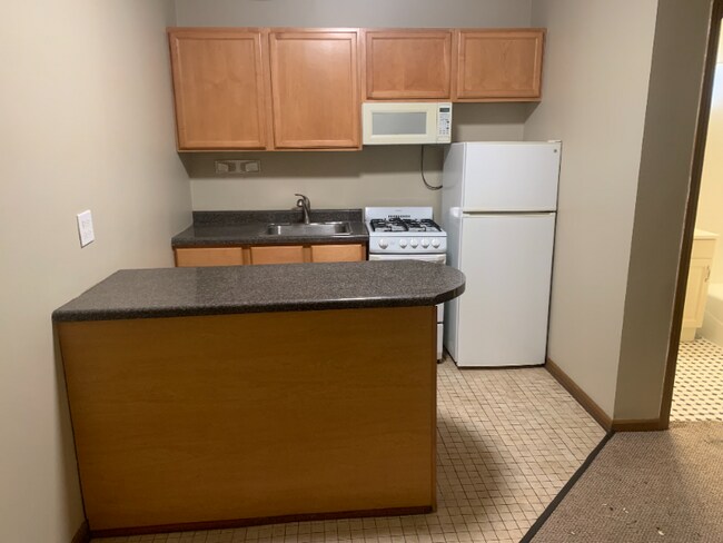 Foto del edificio - 537 W Deming Pl