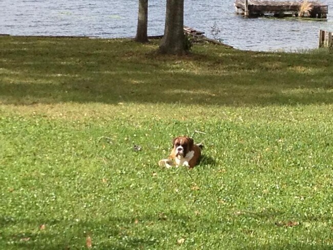 Photo - 1604 Haven Bend House