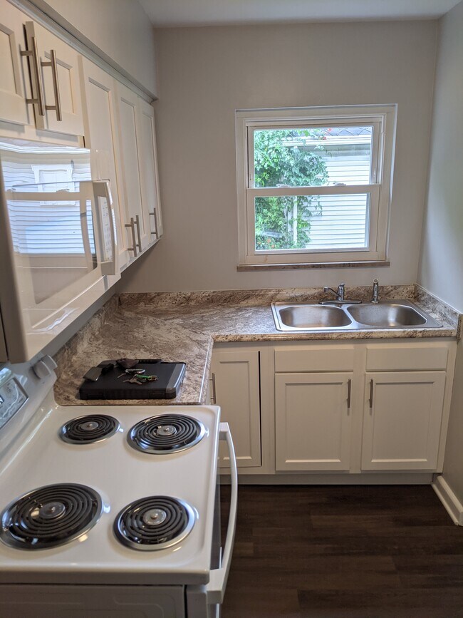 kitchen - 1230 North Plum Street
