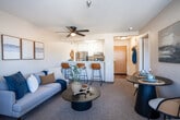 Located at 1700 Broadway St in Concord, California, this one-bedroom, one-bathroom residence offers a thoughtfully designed single-floor layout that maximizes every inch of its compact footprint. The entrance opens into a shared living and dining area featuring plush carpeting, neutral wall tones, and multiple windows with slatted blinds that invite abundant natural light. A sliding glass door provides direct outdoor access and frames views of surrounding greenery, enhancing the open, airy feel of the space. The living area is versatile, accommodating both a comfortable seating arrangement and a dedicated dining nook. The galley-style kitchen is efficiently organized with white cabinetry, light stone-look countertops, wood-style vinyl flooring, and stainless steel appliances including a refrigerator and range. The bedroom is a well-sized, carpeted retreat featuring windows with outdoor views, offering room for a full sleeping area and a small workspace. A dedicated closet provides convenient storage. The bathroom is finished with white cabinetry, a stone-look countertop, wood-style flooring, a full tub-shower combination with grab bars, and clean, classic fixtures throughout. The overall ambiance is bright, calm, and move-in ready.