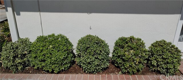 Foto del edificio - 1617 Tradewinds Ln