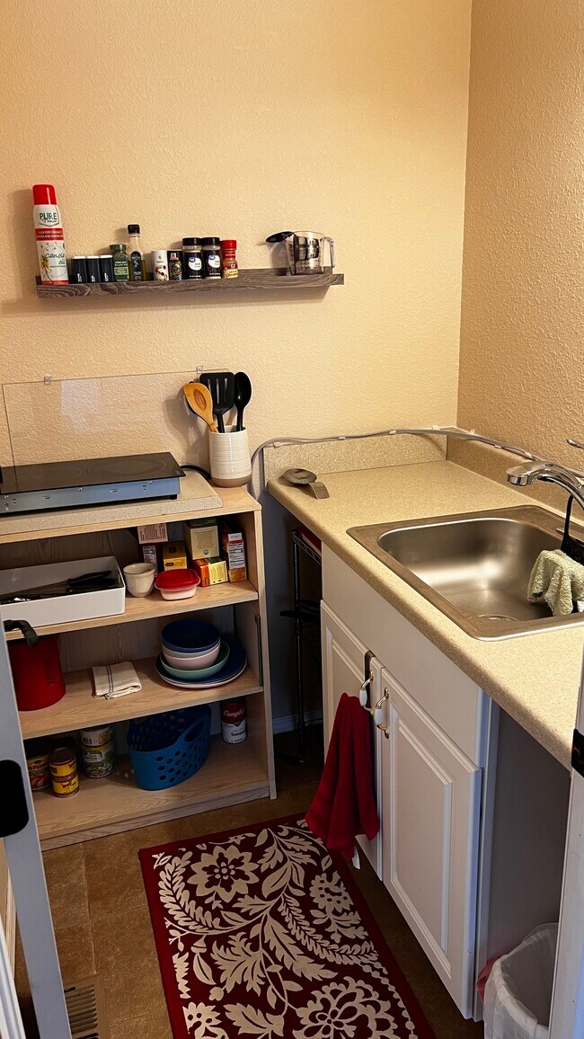 Glass top kitchenette and full sink - 816 Chestnut St
