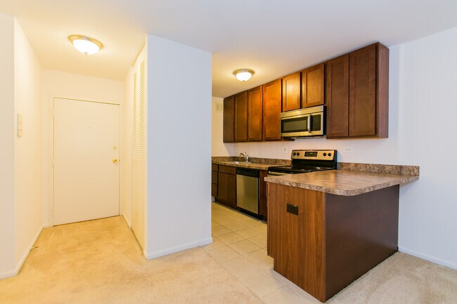 Foto del edificio - 1355 N Dearborn St