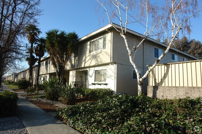 Building Photo - Palm Haven Apartments