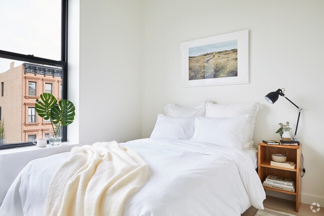 Bedford Stuyvesant Apartments For Rent Brooklyn Ny