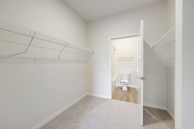 Foto del interior - CR Crossing