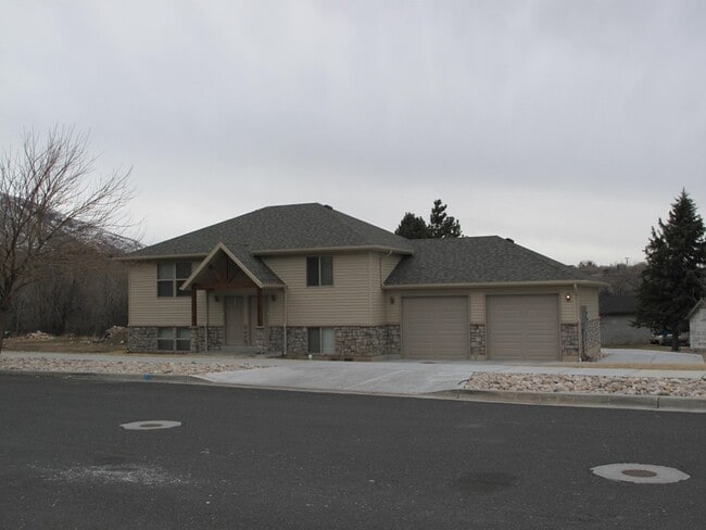 Building Photo - 1429 Wild Rose Way