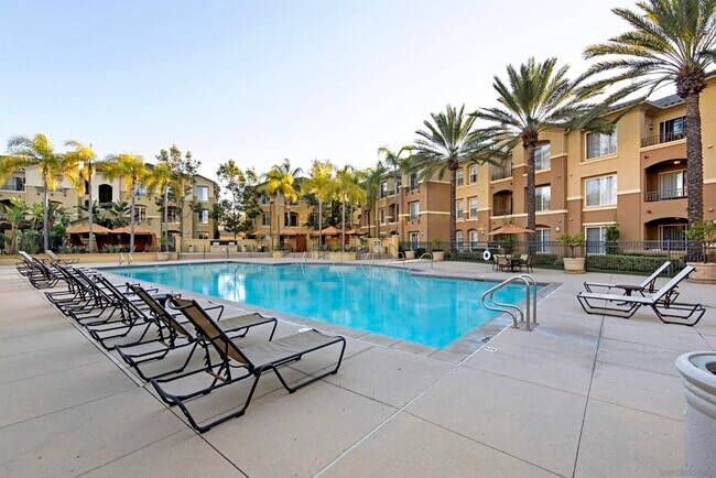 Pool - 10832 Scripps Ranch Blvd