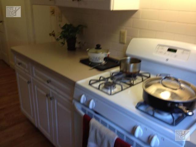 Foto del edificio - 1 bedroom in Brookline MA 02446