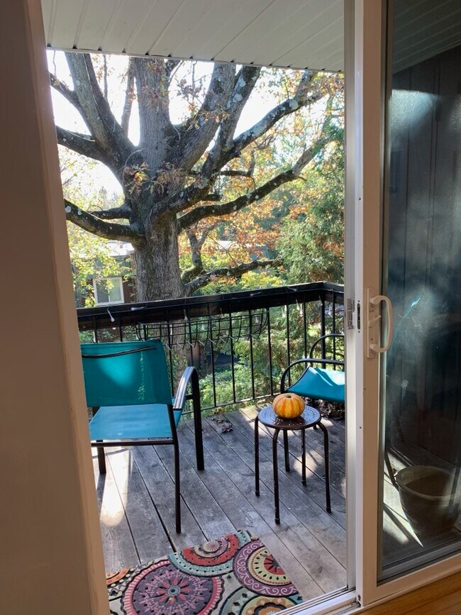 Balcony/Patio Deck - 824 Meadowview Ln