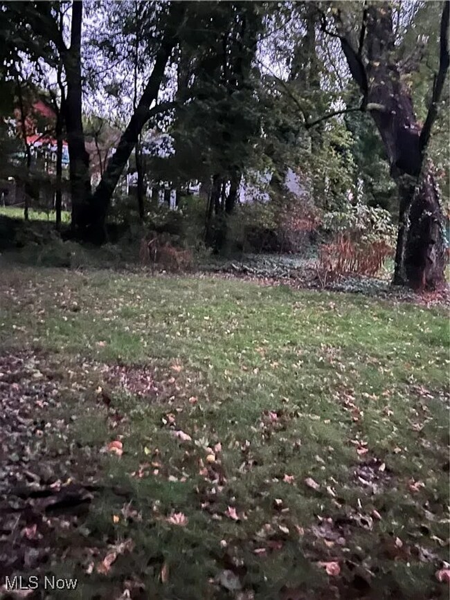 Foto del edificio - Charming 1-Bedroom Ranch Home – Updated Comfort, Classic Character