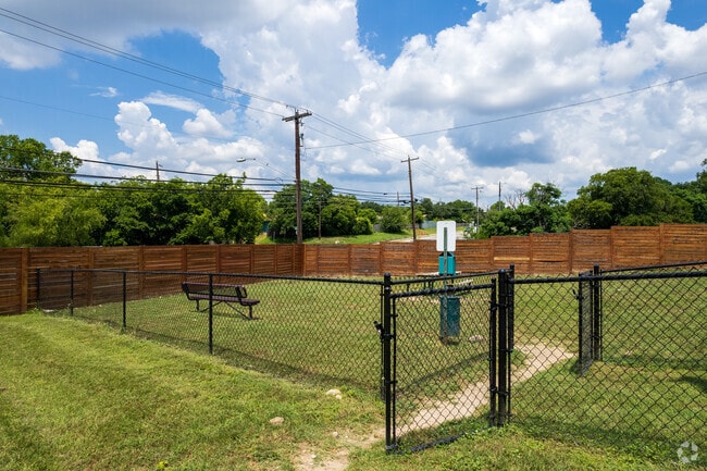 Dog Park - The Ivy