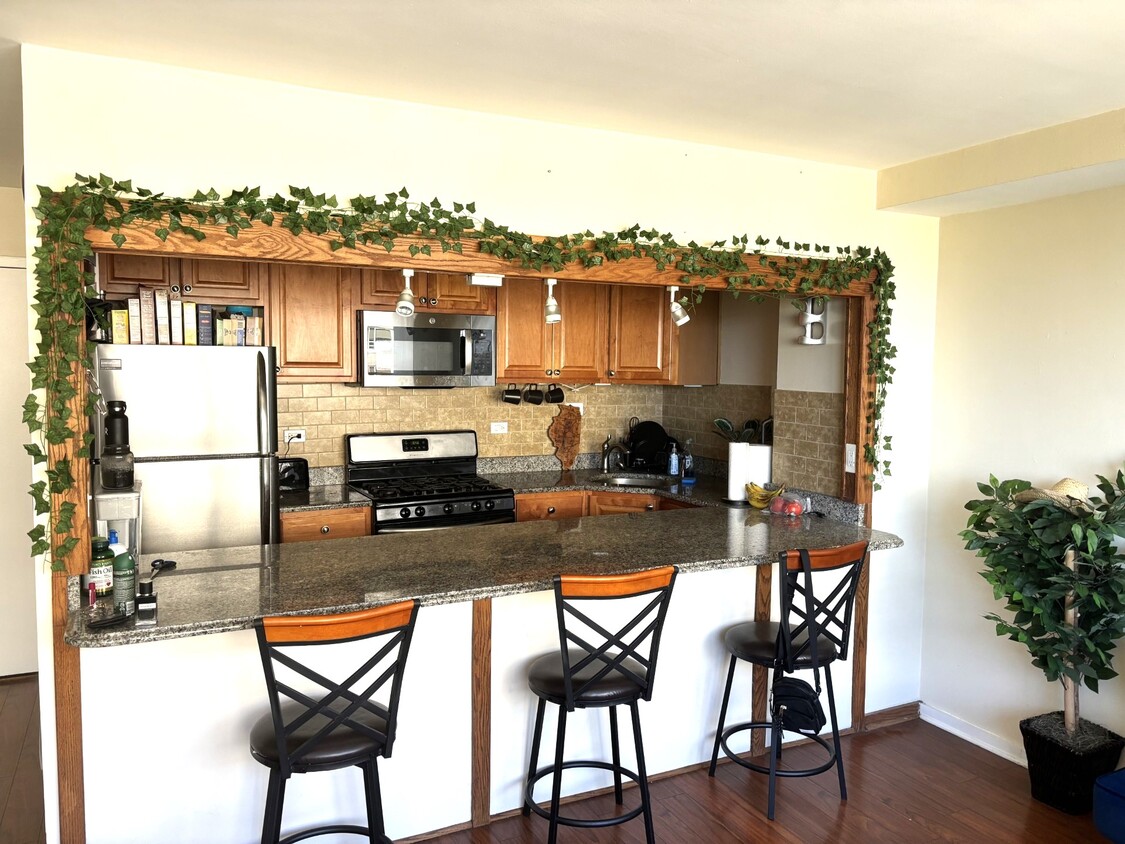 Foto principal - 3950 N Lake Shore Dr