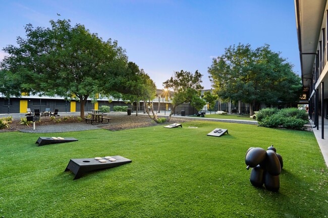 Cornhole - Primrose HAUS