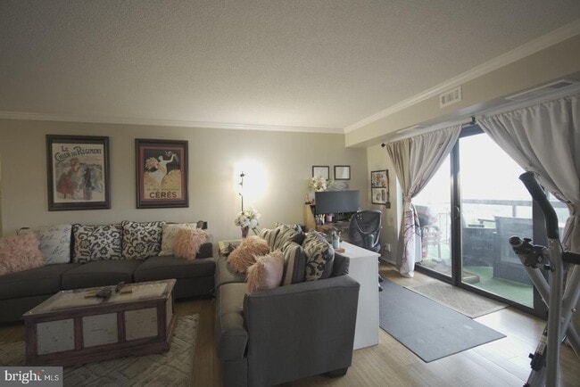 Foto del edificio - 203 Yoakum Pkwy