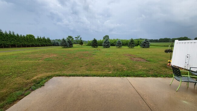 Back Patio Section - 10609 E Lovejoy Rd