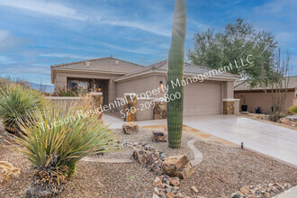 Building Photo - 5027 W Desert Chicory Pl