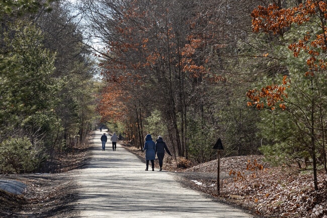 Medfield Rail Trail is a popular spot to walk with friends.