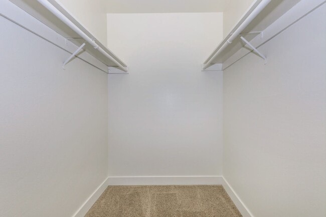 Interior Photo - Sahara and Playa Palms