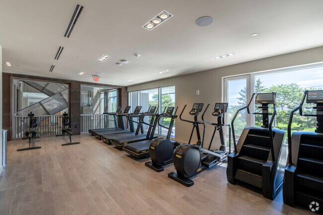 Gimnasio - The Robinson