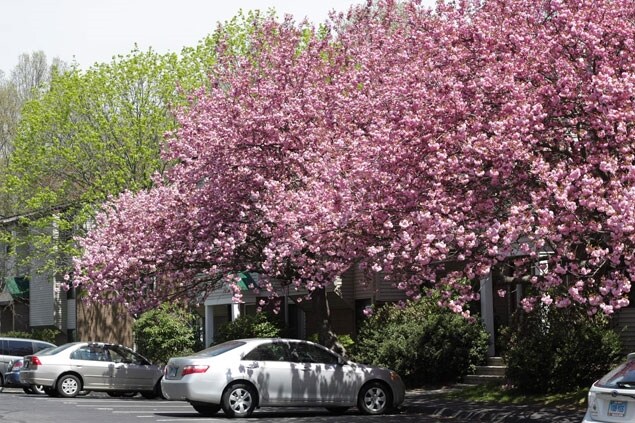 Fotografía del edificio - ReNew Washington Park