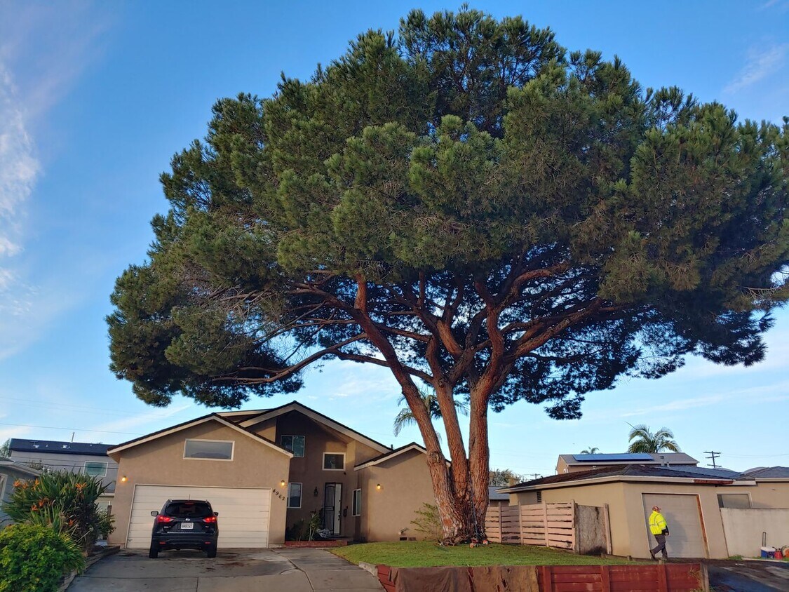 Foto principal - Spacious 6BR Home Near SDSU!