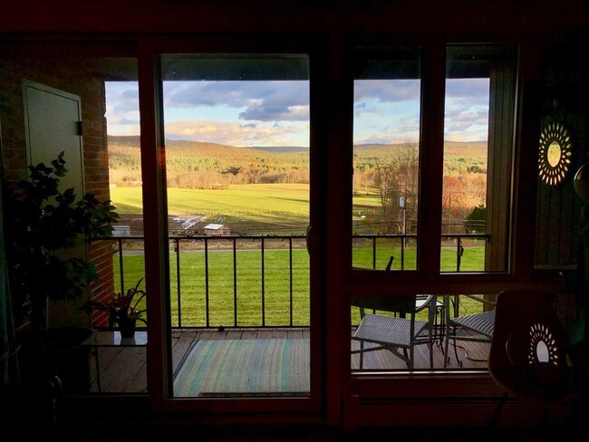 View from living room/terrace - 232 N East St