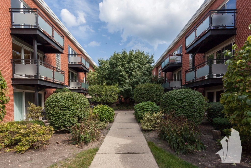 Primary Photo - 6427 N Damen Ave