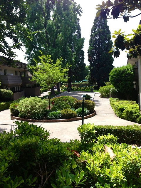 Vista al patio comunitario - Hacienda Apartments