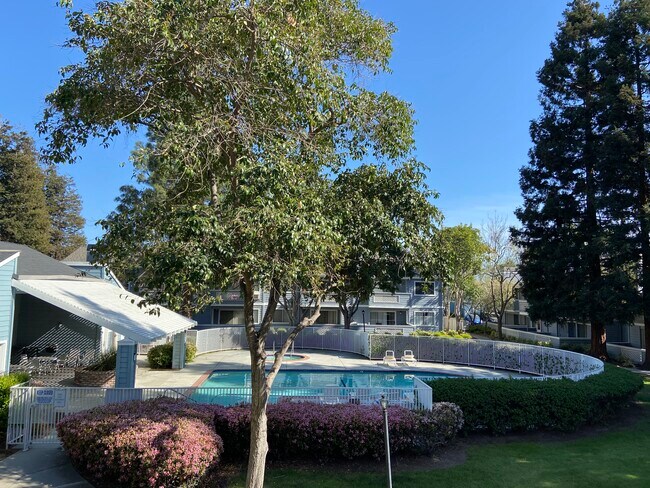 View on the balcony of living room - 1516 Four Oaks Cir