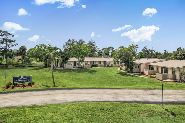 2-web-or-mls-DJI_0304.jpg - Lost Tree Apartments