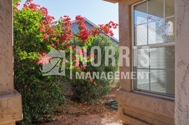Building Photo - Freshly Updated Home with NO HOA