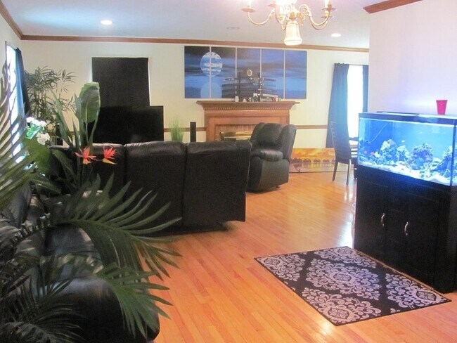 Foto del edificio - 4 BR home for rent, private wooded views i...